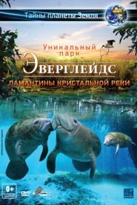 Эверглейдс 3D: Ламантины Кристальной реки (2012)