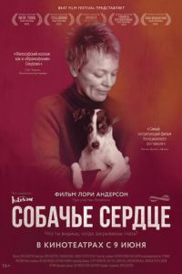 Собачье сердце (2015)