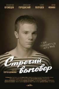   Строгий выговор (2016)